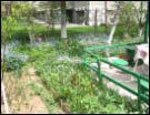 Gradina
